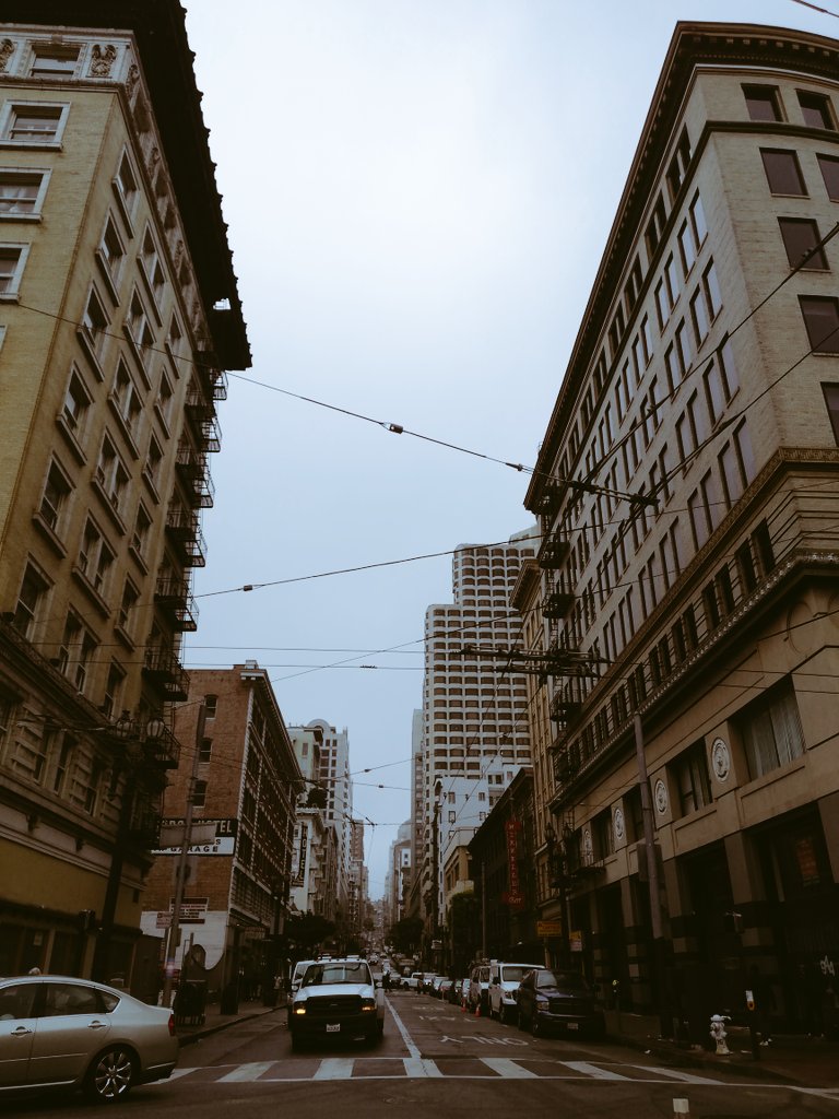 saralarrota's tweet photo. In love 😍 #SanFrancisco #Travel #SEALD https://t.co/HY7g7j3ubT