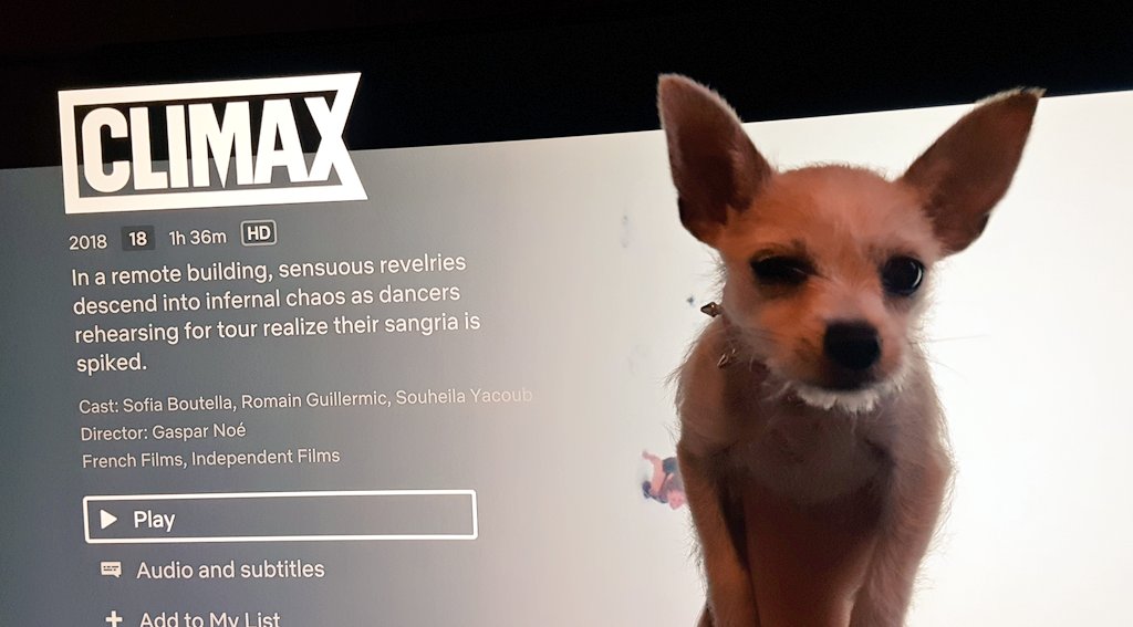 TOMMOROW! Our last World Cinema #Horror...its Climax from 2018 this may be Artsy..it may be Fartsy...but it is definelty a PARTY! Just one you may not like?? But did we? Sub here and dont miss out! letswatchhorrorpodcast.podbean.com also on Apple Pods and Spotify! Merry loved it! Look!!