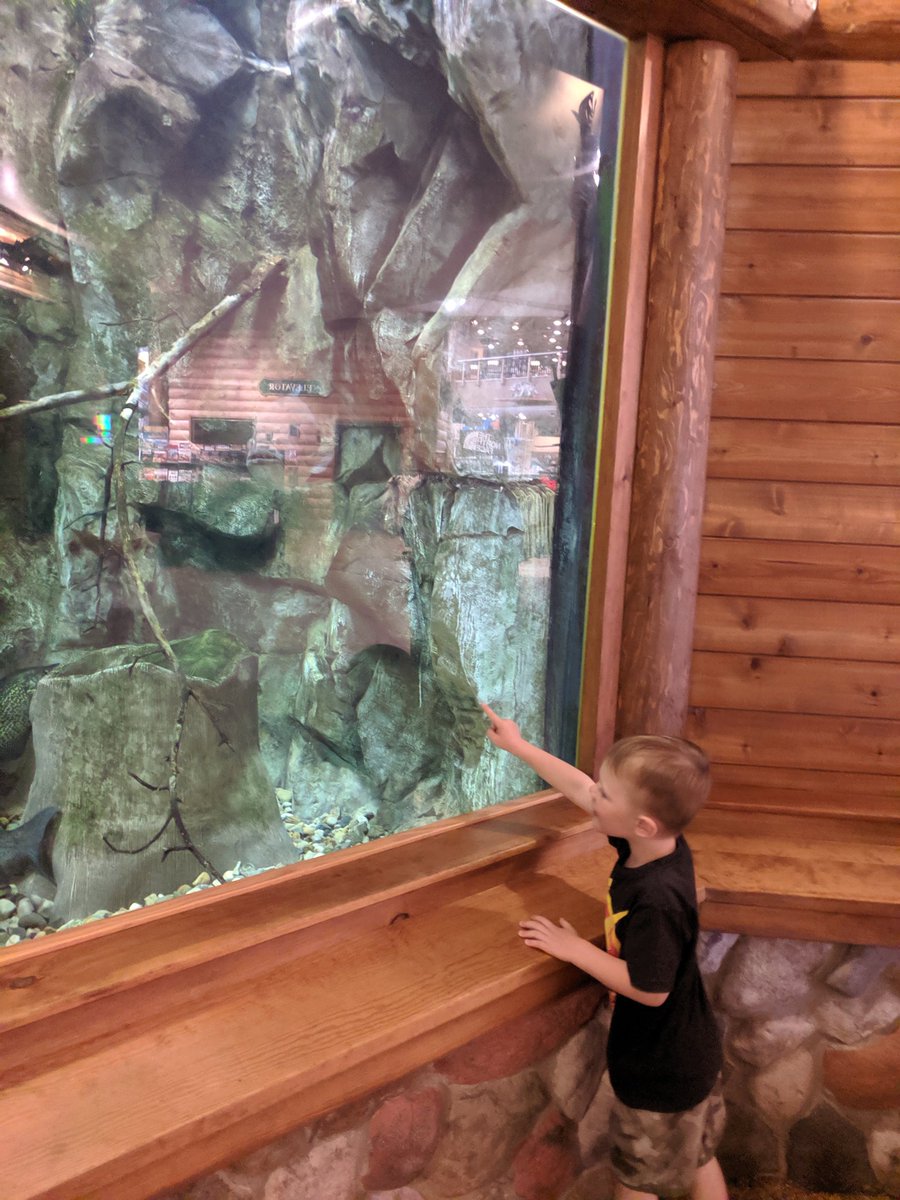 We love <a href="/CabelasFish/">Cabela's Fish</a>! It's the perfect stop for tired travelers! #TweetTheFish