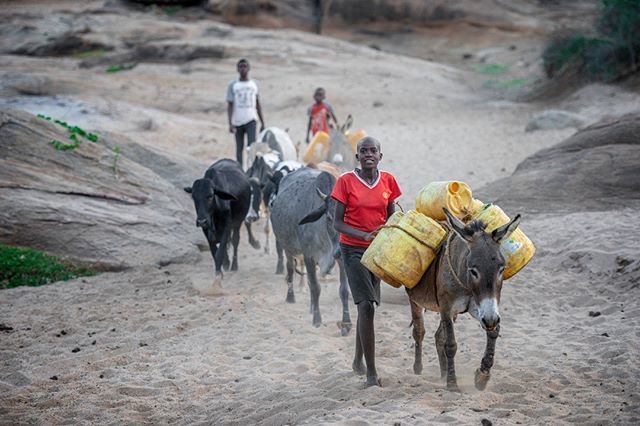 Fetching water - on assignment for Help A Child Africa - @stichtingredeenkind

#africa #makueni #kenya #water #drought #fetchingwater #donkey #walking #Nikon #nikon_nl instagram.com/p/BzLsapgFbDy/