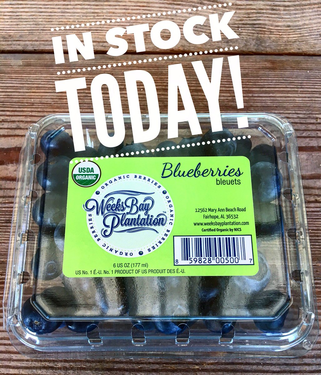 Our organic blueberries are available today at the <a href="/fairhopepig/">FairhopePig</a> and at The McKenzie Farm Market! It’s the end of the season so get some while you still can! 

#organic #blueberry #farm #eatlocal #eatfresh #fairhopealabama