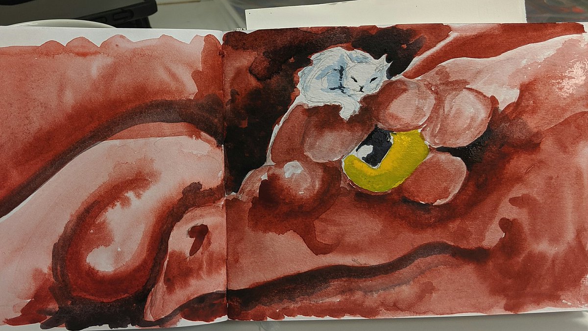 picturedragon's tweet photo. And one #lunchbreaksketch for today. Kitty certainly found a nice warm spot for a nap!
#watercolor #illustration #daysofdragons https://t.co/2nd9faOW27