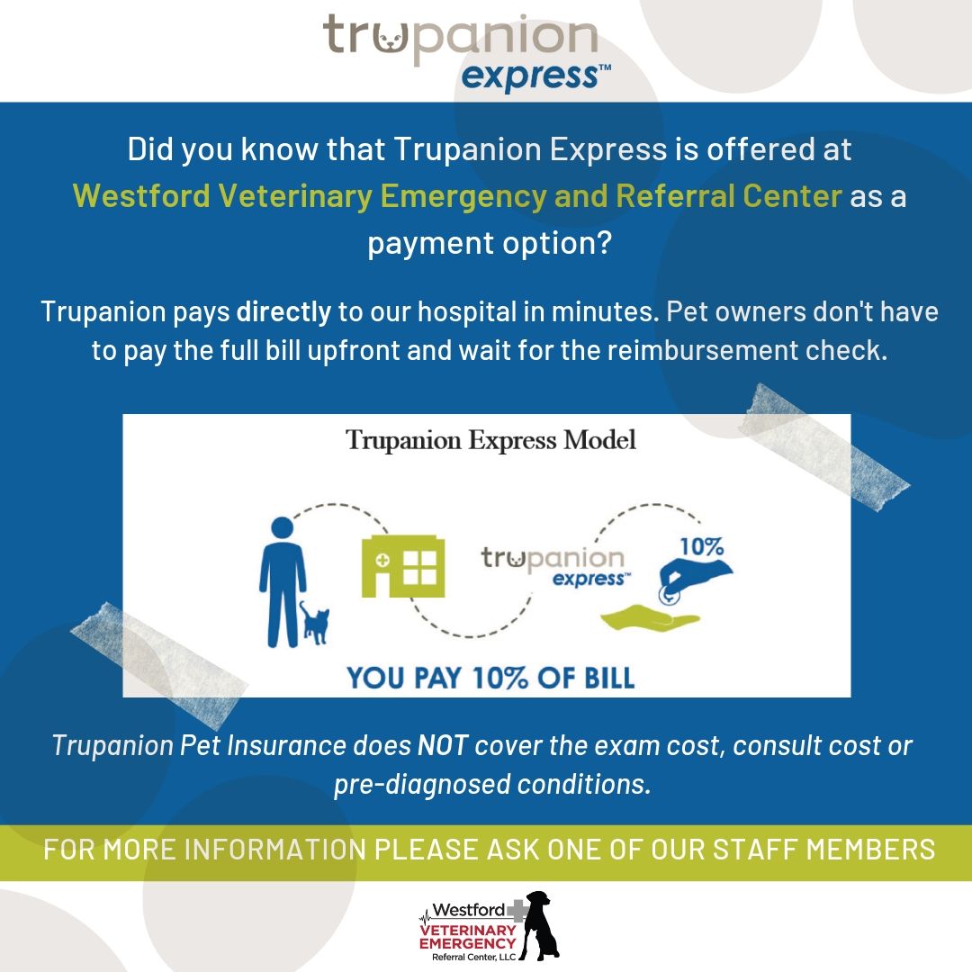 @Trupanion Express is available at our hospital. For more info visit trupanion.com or ask one of our staff members.
#veterinary #veterinaryhospital #veterinarycare #veterinarybills #trupanion #trupanionexpress #petinsurance #pets #animals #petcare #pethealth