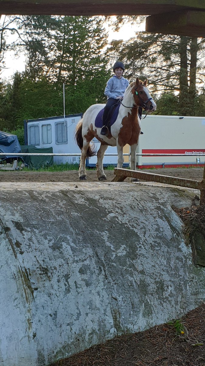 KirstySabina's tweet photo. Week 3 of riding and loving it, all thanks to a local charity Logan's Fund sponsoring her for lessons.
#findinganewnormal #Horses
#horseriding #lessons #cancersurvivor #areasontosmile https://t.co/T3wUMVSmek