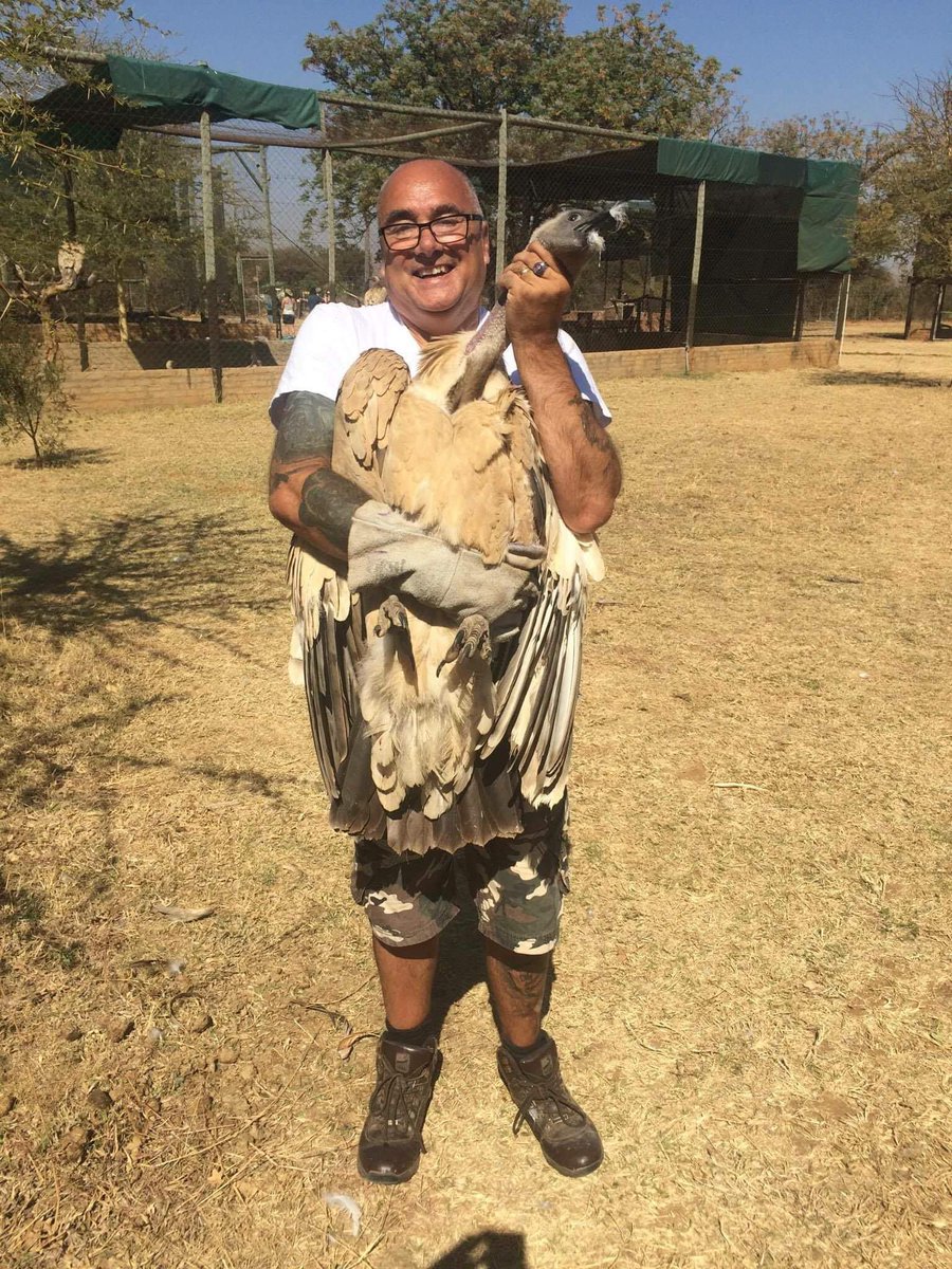 This is what's it's all about. Helping these amazing birds