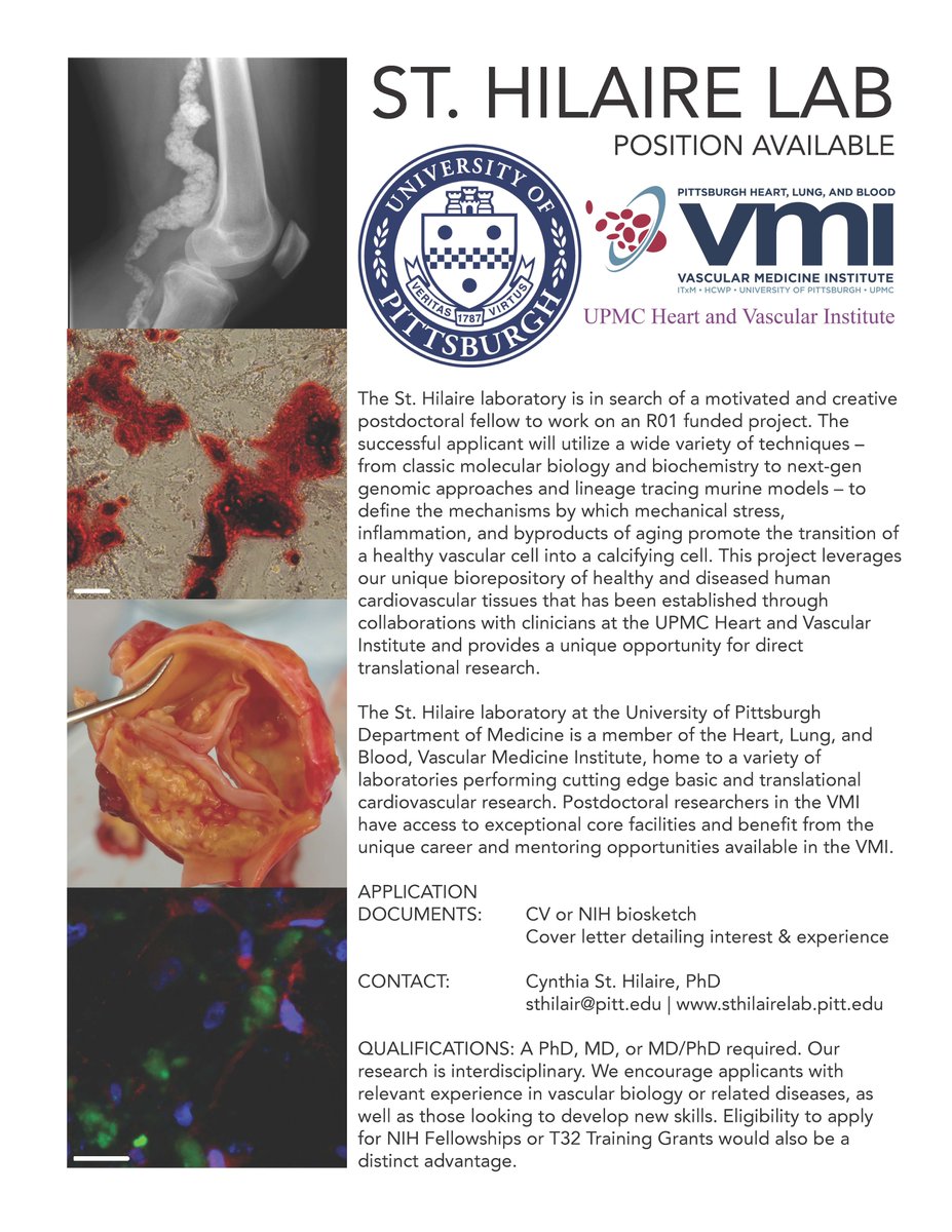 We're looking for a postdoc, apply to join our team! @PittVMI @PittCardiology @PittTweet