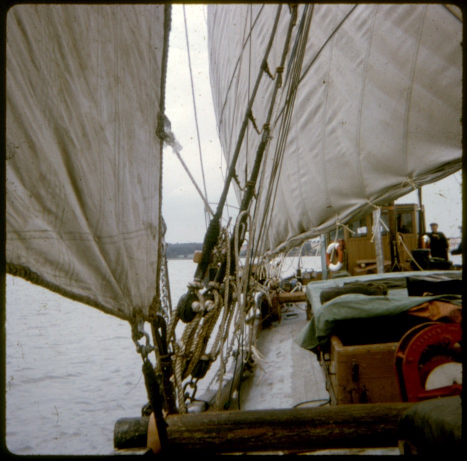 Raybel Charters tweet media