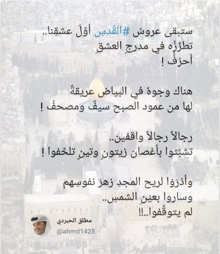 سيف الجرباء tweet media