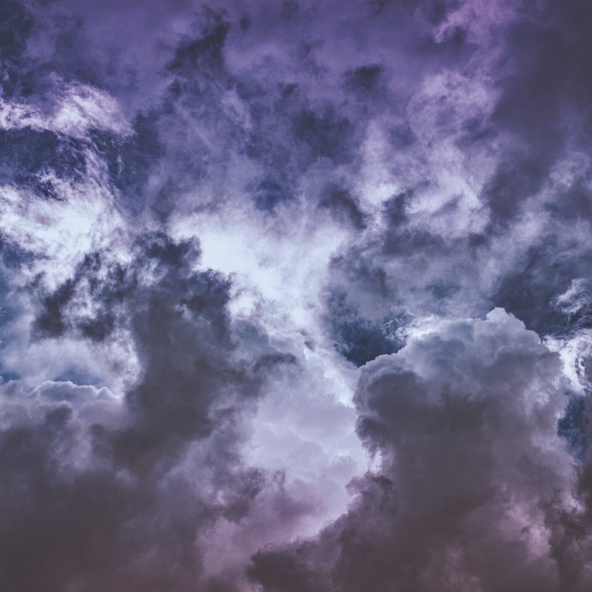 “Bloom now—bloom free”.
—rise,again.