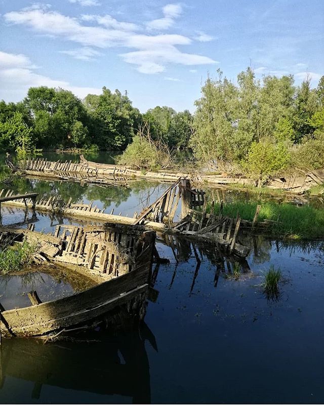Cerchiamo un po' di refrigerio anche nel nostro feed, con quest'immagine del cimitero dei burci.
Foto di <a href="/pagsti/">Putri Agesti</a>
#igerstreviso #weareigersit #instagramersitalia ift.tt/2IQhpc6