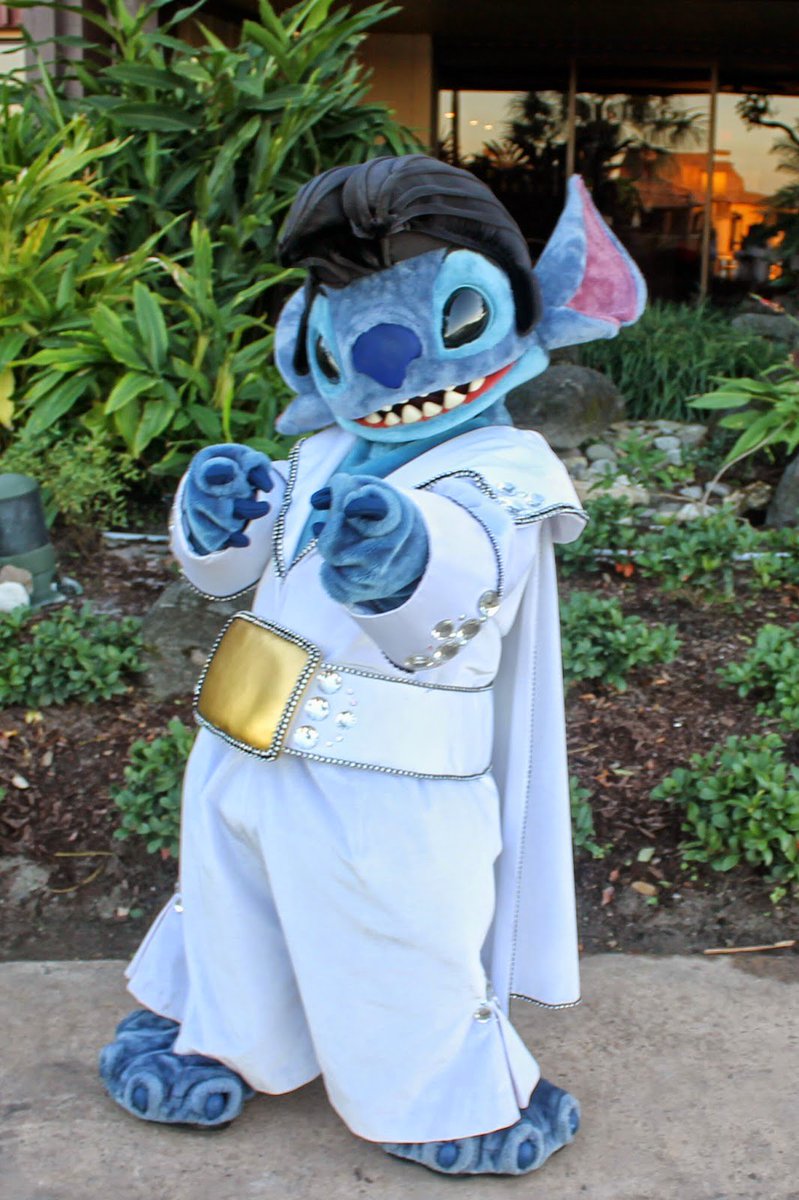 WDWpensieve's tweet photo. Happy Stitch Day!!! https://t.co/baNjnAljS2