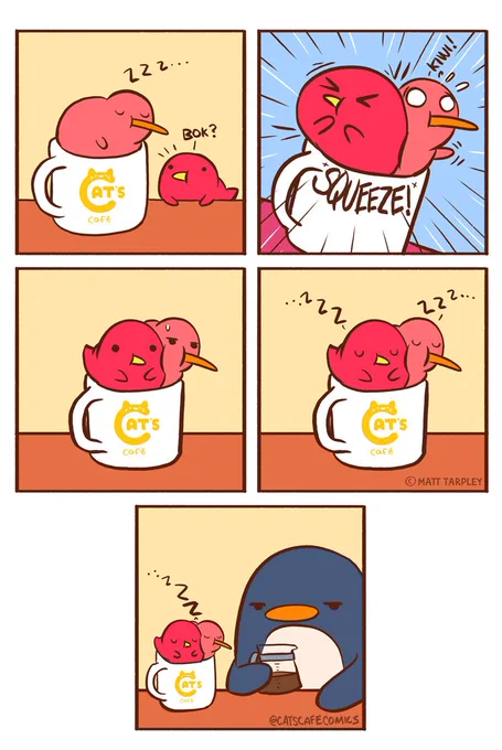 So Cozy! 