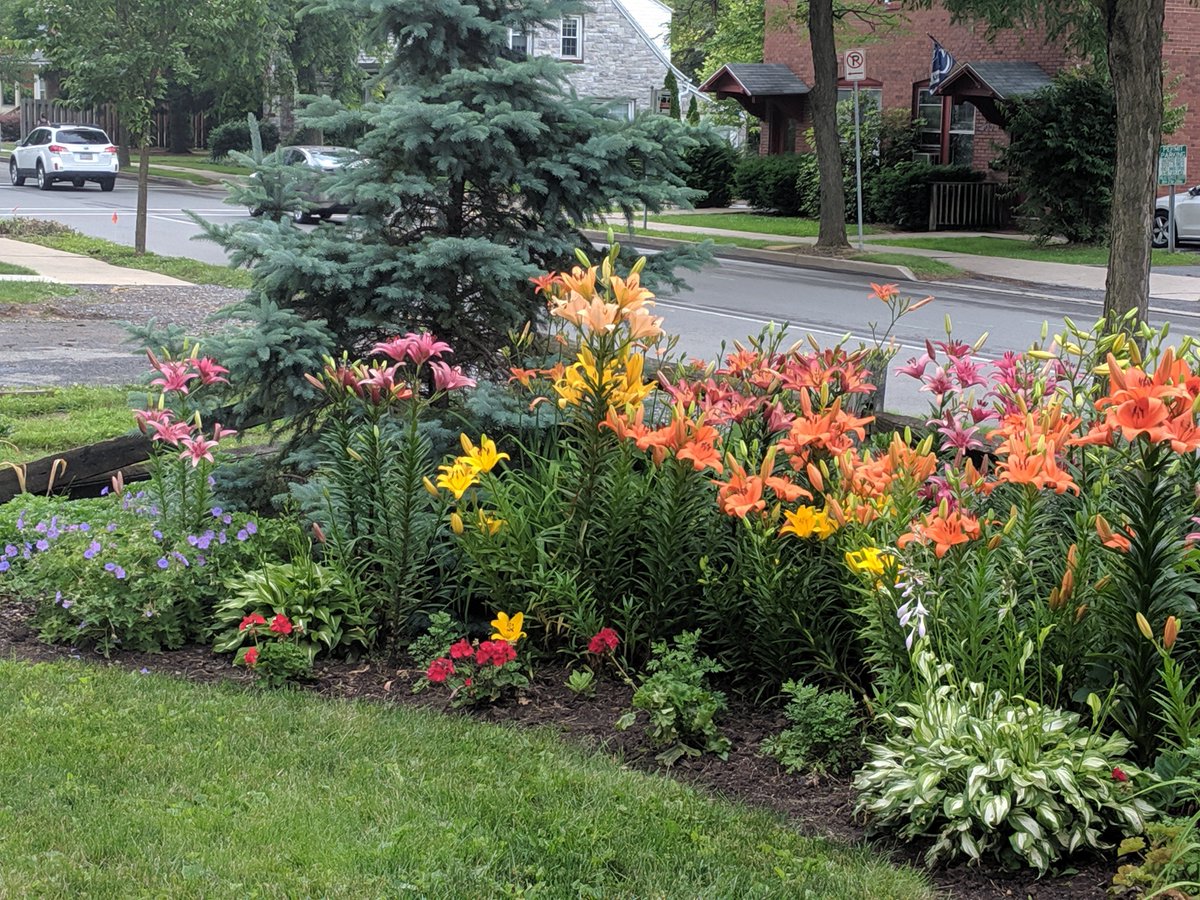 Yeah, this is what I am talking about!