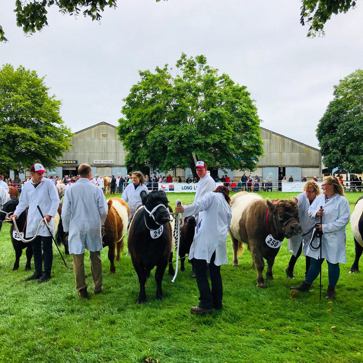 Chatsbrook's tweet photo. ROUND UP🐮

Day one of the Norfolk Show was amazing! 

We had so many people pop in to see us and take part in our Lotus Track Day giveaway!

Remember you can still come and visit us tomorrow! 
#ItsShowTime #NorfolkShow #Agriculture #Livestock #AssetFinance https://t.co/fHdiY2DEjR
