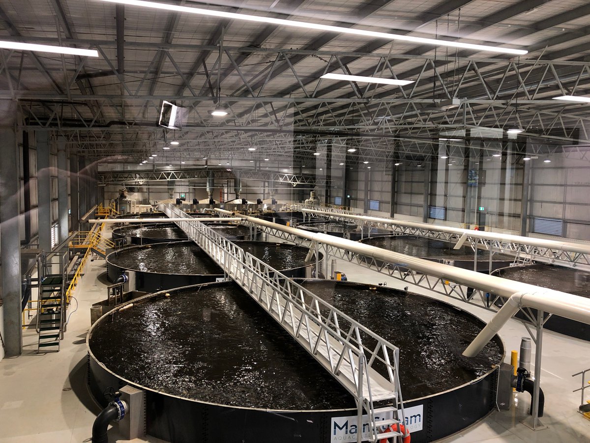 LatrobeValleyAu's tweet photo. 🐟DEVELOPING AN AQUACULTURE INDUSTRY IN LATROBE VALLEY🐟
Australian Paper & Mainstream Aquaculture will conduct a $1.24m feasibility study to construct a state-of-the-art aquaculture facility for farming barramundi in Latrobe Valley.
Read more https://t.co/bBzoI7Odn7
@GippsNews https://t.co/UxYqhu3lZX