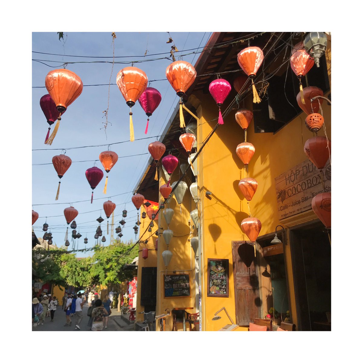 Laura Mulley tweet media