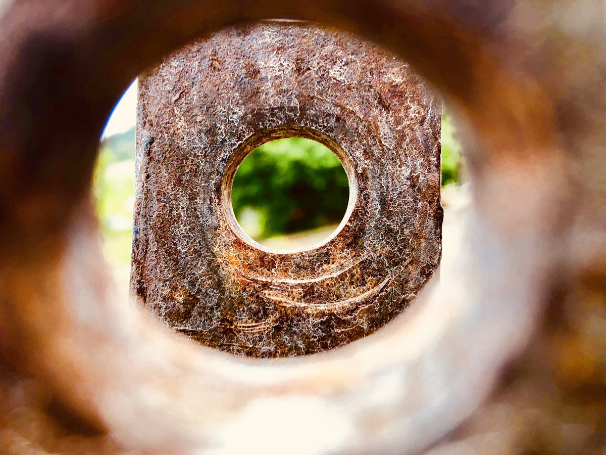 rustwinery's tweet photo. Show us your Rust! Send us your Rusty photos for a chance to have your image featured on one of our future labels! You will be rewarded and we will also include your name on the back label! Game on!            🍷☀️🌵#ShowUsYourRust #GetRusty #BCWine #GoldenMileBench #Art #Rust https://t.co/tivGl3M35p