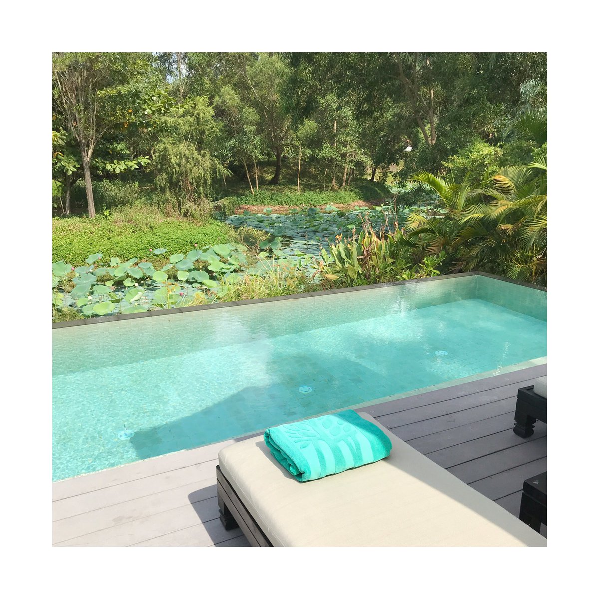 Today’s office comes with lagoon views 💚💙 #banyantreelangco #qatarairways #vietnam <a href="/qatarairways/">Qatar Airways</a>