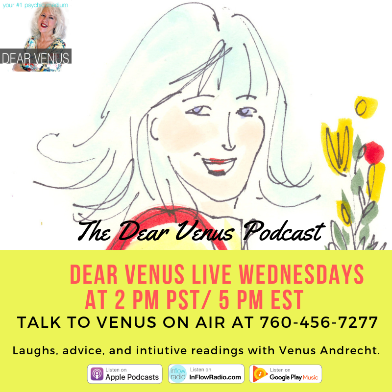 inflowradio's tweet photo. Venus is talking to Anthony Bourdain again today! Tune into https://t.co/Ki3QENB7nc at 2 pm PST/ 5 pm EST and listen live and call in to 760-456-7277 to talk to Venus on the air during the show! https://t.co/P1PUjmGAgc