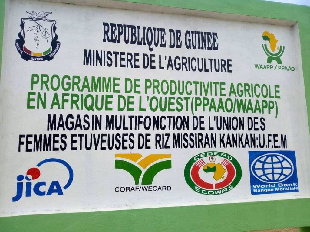 MohamedHawaTou1's tweet image. #PRAC_Agriculture : Concret !

N&apos;Zérékoré, Beyla, Kankan dotés des magasins de #stockage #multifonctions qui comportent : 

- 1 aire de séchage
- 1 atelier de décorticage
- 1 forage
- des latrines externes etc.