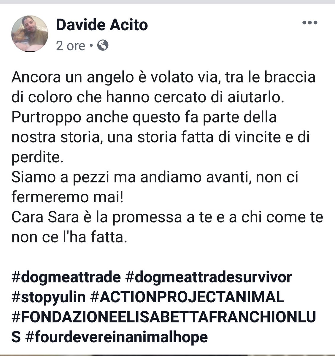 R. I. P. PICCOLO ANGELO GRAZIE DAVIDE PER QUEL CHE FATE