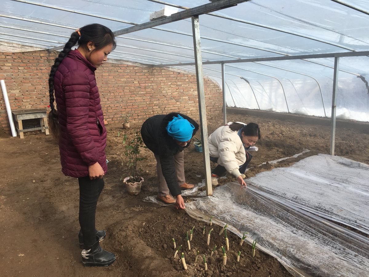 In 2015, the @GpaGlobal team partnered with the charity @CaptivatingIntl to help fund a fantastic new initiative: the Greenhouse Project gpaglobal.net/en/company/gpa… …  #gpacares #thegreenhouseproject #helpinghand