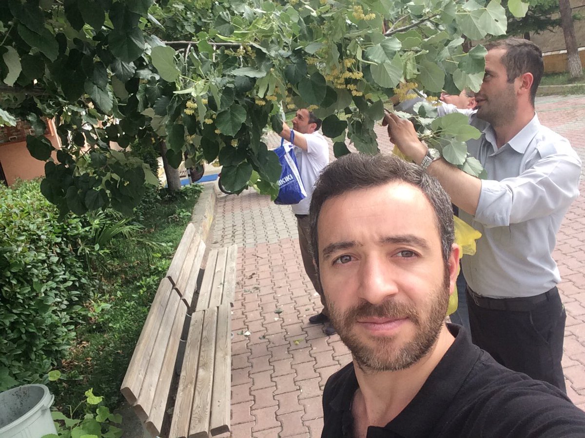 Öğretmenlerimiz personelimizle birlikte okul bahçemizdeki ıhlamurları toplayıp doğal kurutmaya bıraktık