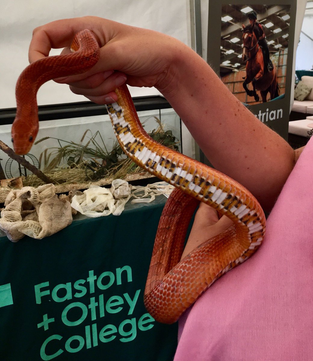 Christina Sadler tweet media