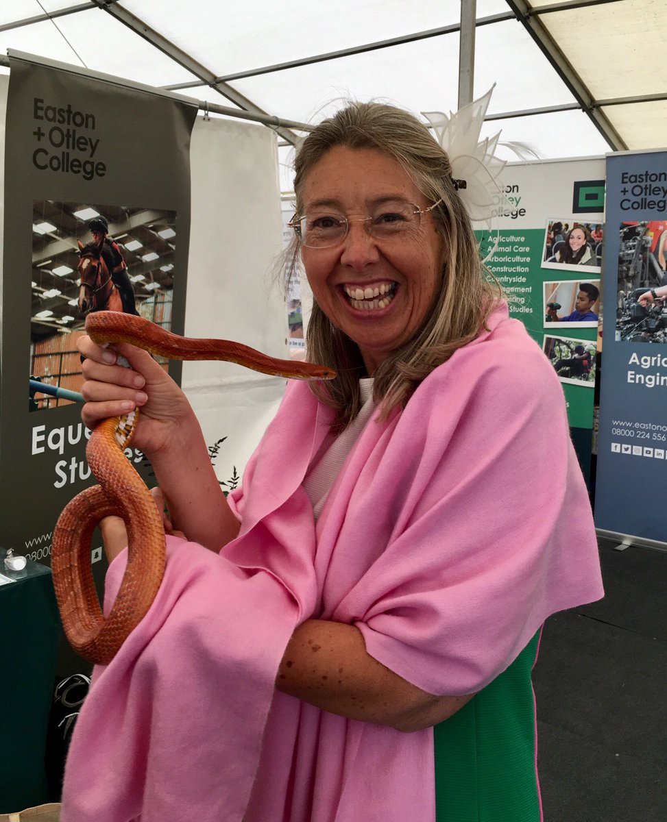 Christina Sadler tweet media