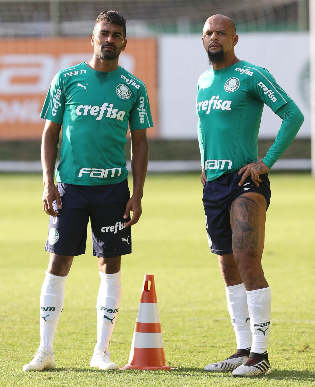 Se Palmeiras Se Palmeiras