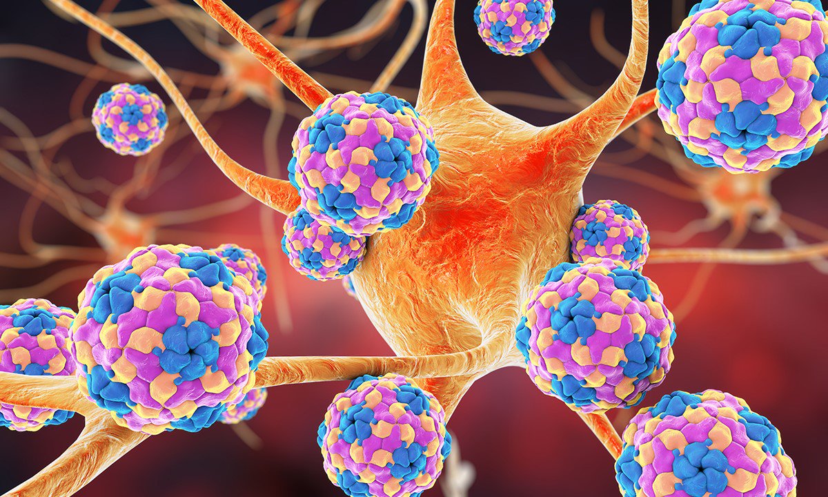 kids_research's tweet image. A unique strain of parechovirus is causing severe emerging infection in young children, read about this collaborative study here - bit.ly/2Yffyml @nhmrc @NCIRS @theMJA #kidsresearch