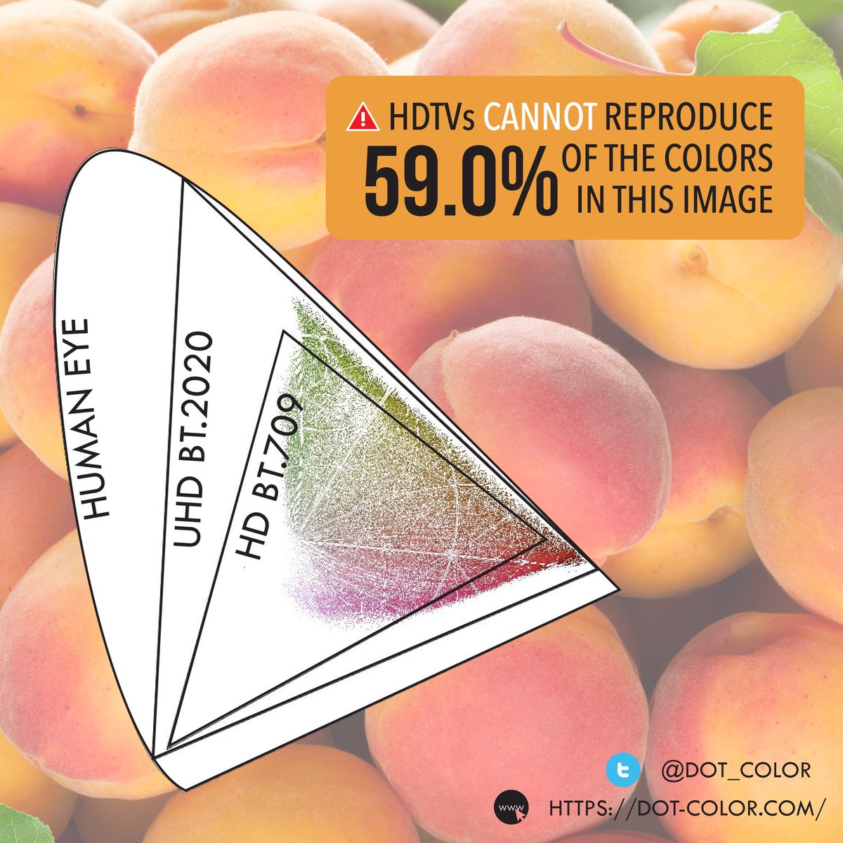 It's apricot season now! This #WideColorWednesday we take a close look at why you need BT.2020 to reproduce the color of apricots.

We started posting WCWs on our instagram account (bit.ly/2XchOyk), go follow us to learn more about color!