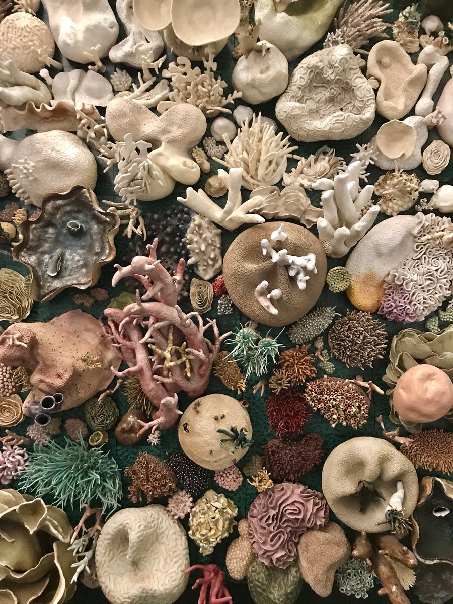 AshleyRobinsonB's tweet photo. Was in a mad dash to my first @CodeforDC meetup... and had to take a minute to take in this stunner @CourtneyCoral piece in the @aaas building ✨ we live in an amazing world https://t.co/2PEutzDELI