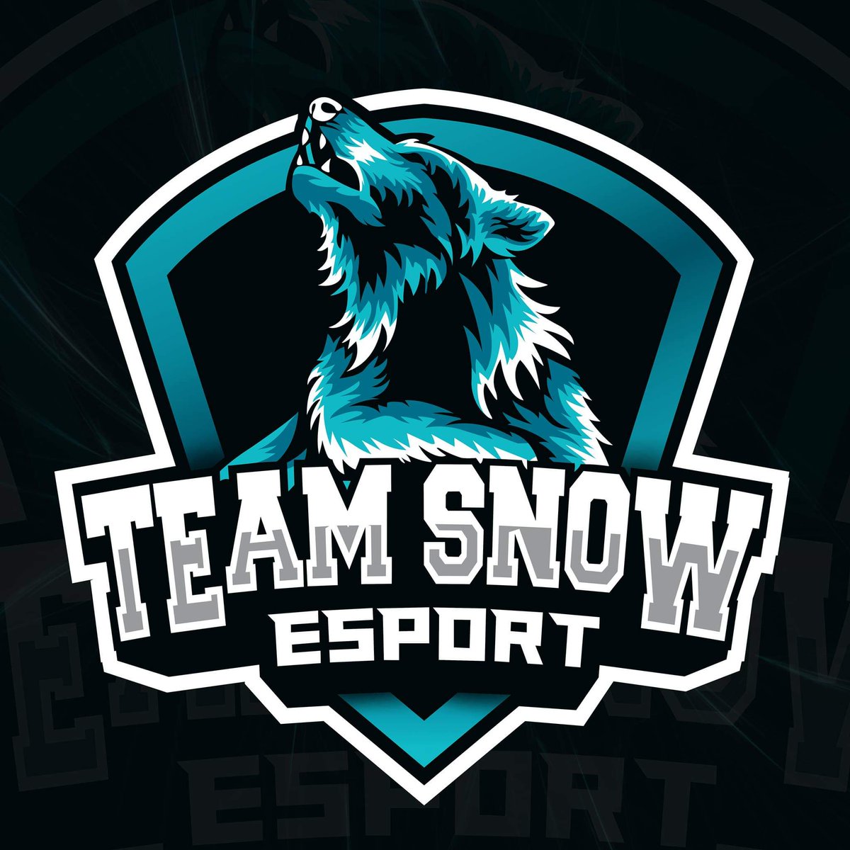 KatakisCsGo's tweet photo. One love ❤️❤️❤️❤️💕 @esport_snow
#csgo #esport #99dmgliga https://t.co/pe262AF9YI