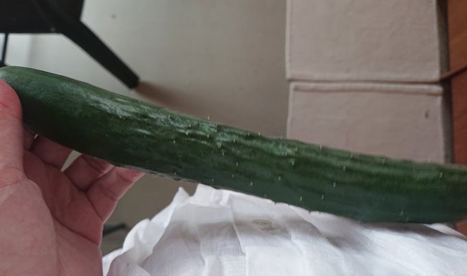 きゅうりの賞味期限と消費期限は 見分け方と冷蔵庫での保存期間紹介 お食事ウェブマガジン グルメノート