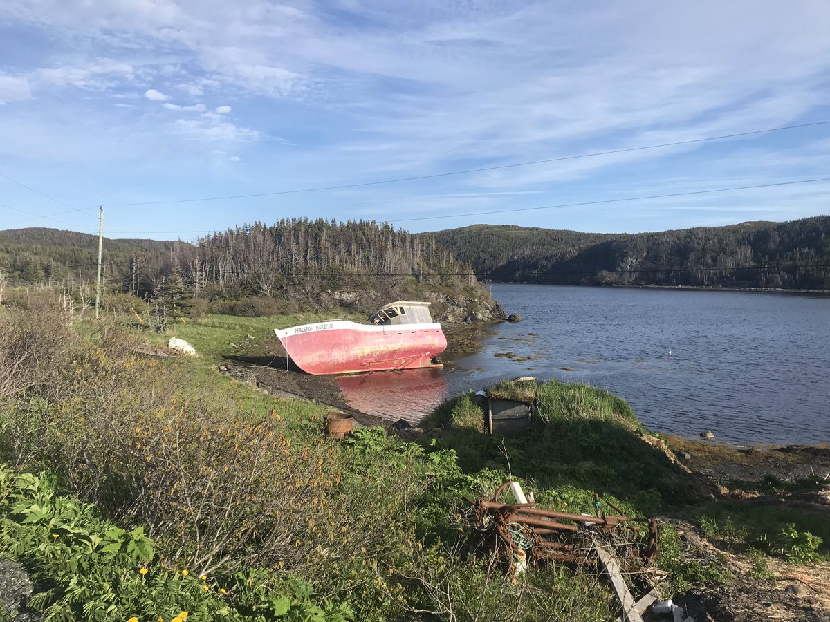 geophysicsmarie's tweet photo. Very excited to start my summer of field work! #gsnl https://t.co/Joe2wYv0VU