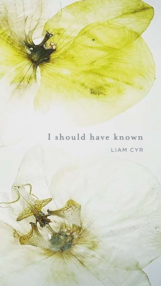 My new single “I Should Have Known” is available now on all streaming platforms. Link in bio! #music #toronto