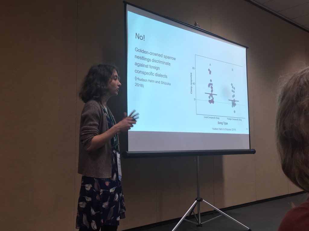 @zononotes tells us how golden-crowned sparrow chicks (only 8-10 days old!) can discriminate between white-crowned sparrow song and even other song dialects of gc sparrows. I might be biased, but so cool!! #AOS19AK #songlearning