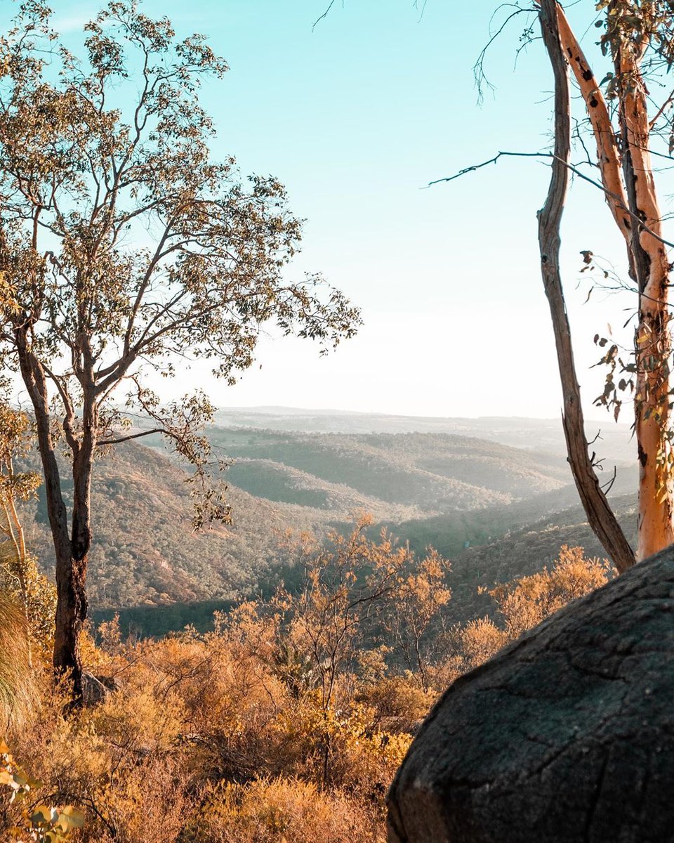 Plan a scenic drive to #AvonValley #NationalPark and embrace the stunning landscape of the 💚 green rolling hills in @DestPERTH. There's so much to do here from bush walking to white water rafting and even hot air ballooning! 🎈 (via IG/_totheblue_) #justanotherdayinWA