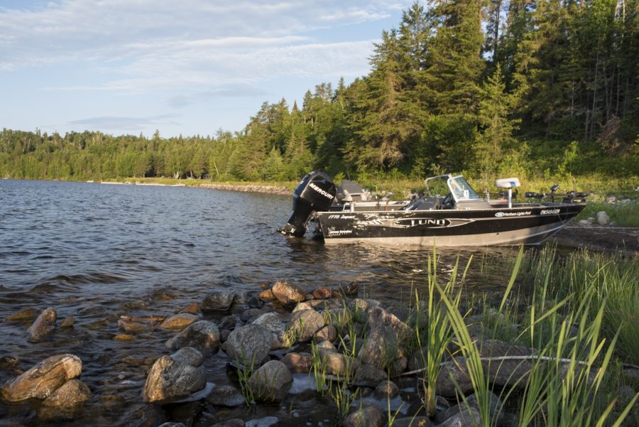 OntarioParks's tweet photo. Always inspect your boat when removing it from the water. Zebra and Quagga Mussels can attach to your boat and be transported into the next water body you visit. https://t.co/HIMB126MBv
#InvasionON https://t.co/SVgLi2KRHp