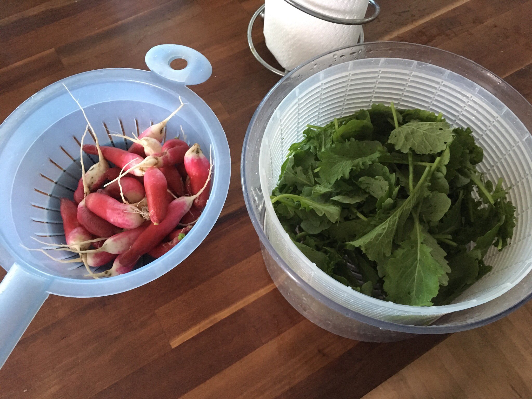 Rebecca Ong on Twitter "UP summers are wonderful with sun, warm