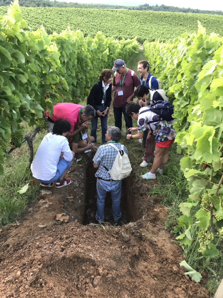ZhuangGeorge's tweet image. Visit #winegrape vineyards and some bush vines in northern Greece with @UCCESonoma @kurtural