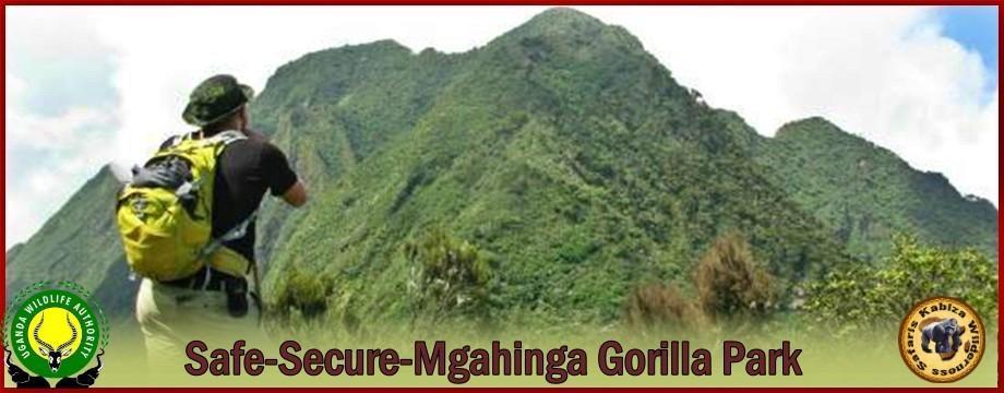 Is it SAFE to visit Mgahinga Gorilla Park? The No-Spin Reality kabiza.com/kabiza-wildern…