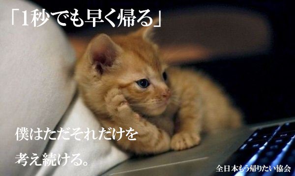 全日本もう帰りたい協会さん の人気ツイート 10 Whotwi グラフィカルtwitter分析 全日本もう帰りたい協会さん の人気ツイート 10 Whotwi グラフィカルtwitter分析