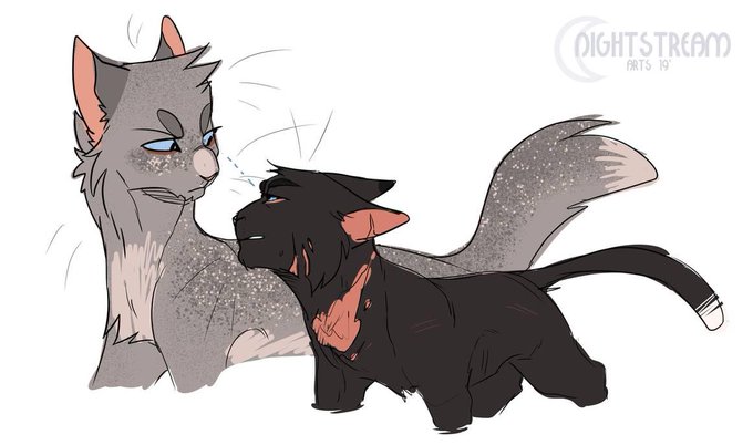 коты воители бич мемы. коты воители бич и костяк любовь 18. коты воители кровавое племя костяк. коты воители бич и его девушка. коты воители бич фанфик.