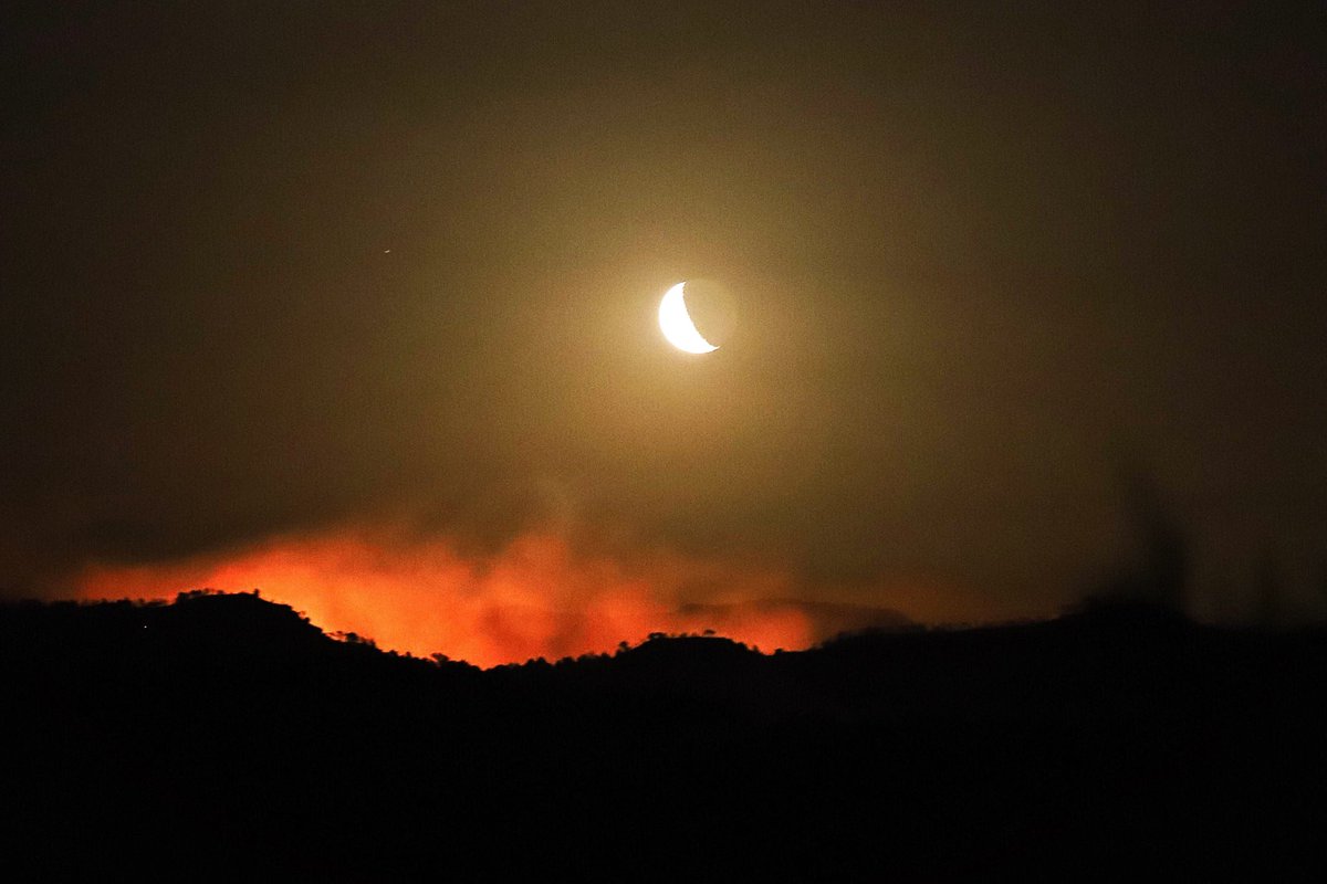 #ifRiberadEbre des del castell de Flix