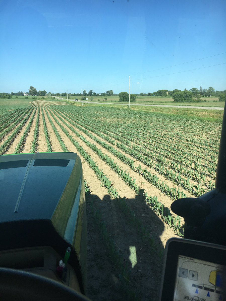 Bradley Haack (@bradhaack18) on Twitter photo Finally some growing weather. Corn should take off now with some 28% #Liftoff <a href="/KenSchaus/">Ken Schaus 🇨🇦</a> Finally some growing weather. Corn should take off now with some 28% #Liftoff <a href="/KenSchaus/">Ken Schaus 🇨🇦</a>