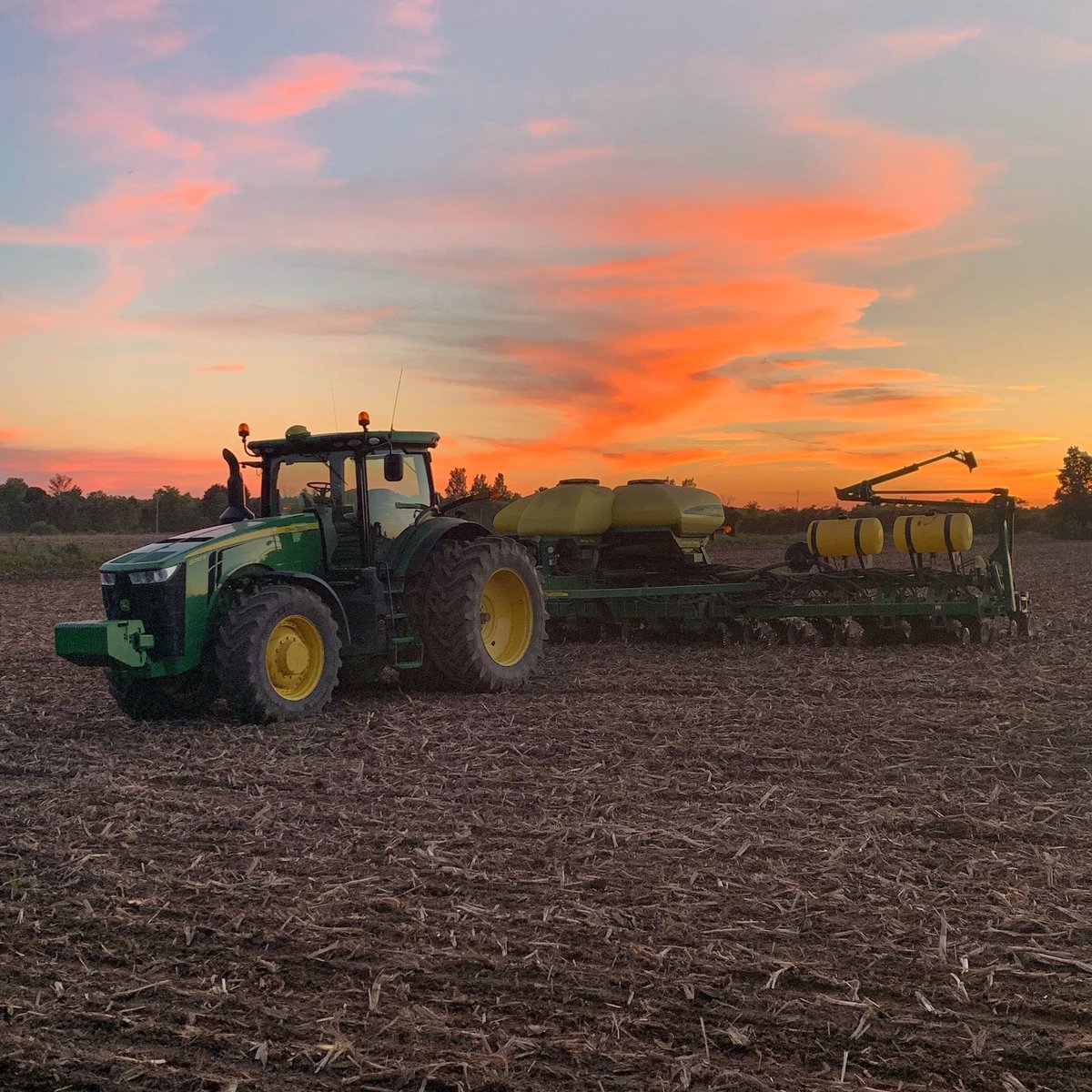 wrightway93's tweet photo. At least it’s pretty planting on June 26th #plant19 #ontag https://t.co/8f3p4t1ppr