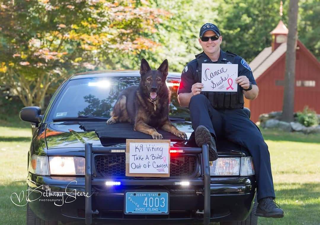 This picture was taken a year ago to support a friend battling cancer.  Little did we know that Viking would also fight this disease. Viking is still hospitalized after several setbacks due to infection.  He appears to be on the right path and it is hopeful he will be home soon.