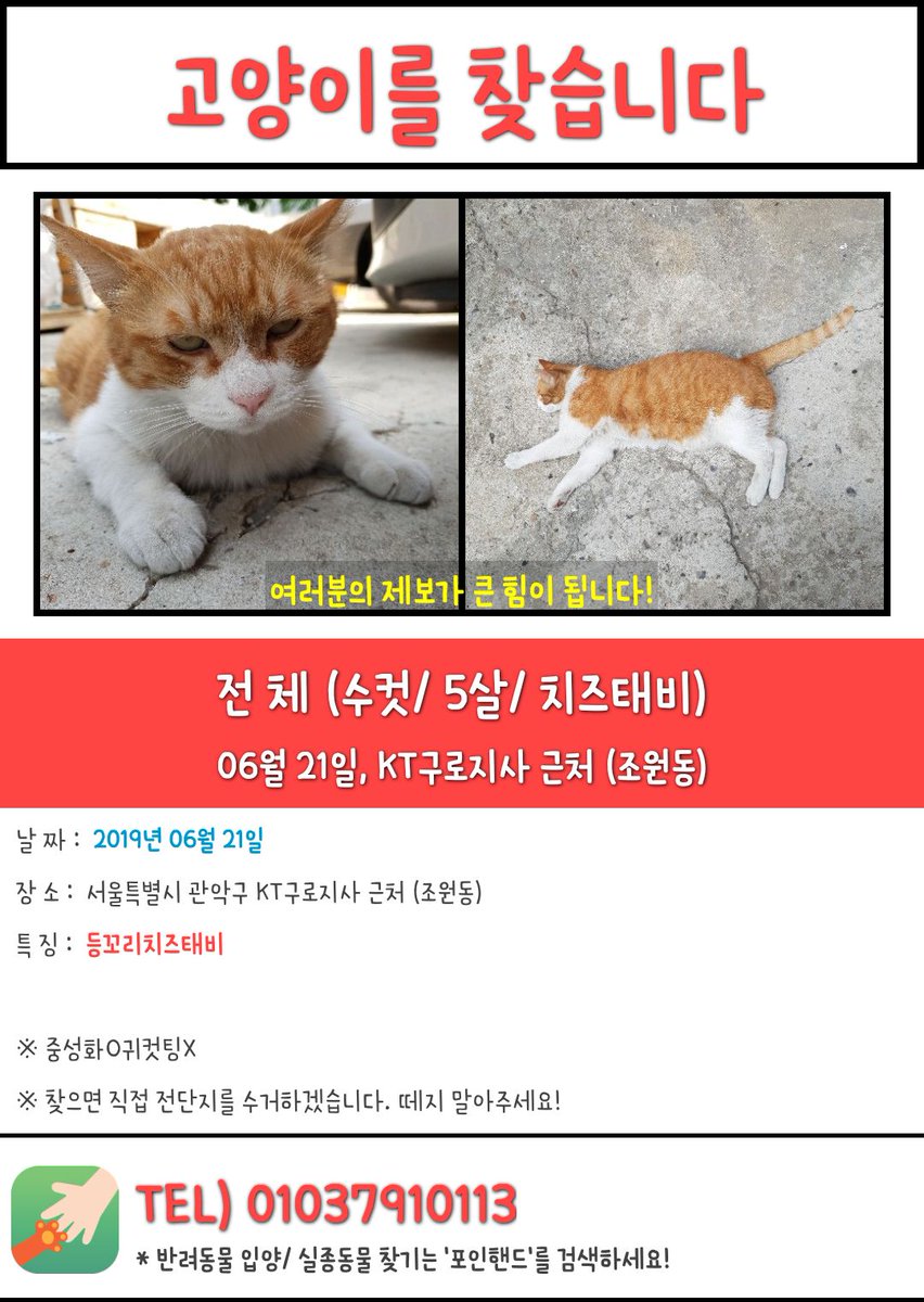 [RT부탁드려요]
지인분께서 키우는 고양이가 사라졌습니다.
회사 마당에서 아깽이 시절부터 5년간 돌보며 한 번도 영역을 벗어난 적 없던 아이가 하루아침에 사라졌습니다.
마당을 집으로 인식한 아이입니다.
지상이를 목격하신 분이 계시다면 연락 부탁드립니다.

*장난전화는 자제해주세요.